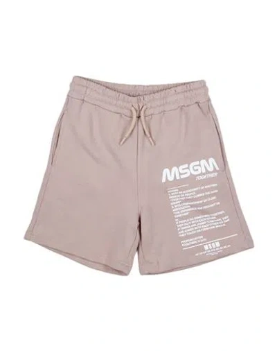 Msgm Babies'  Toddler Boy Shorts & Bermuda Shorts Taupe Size 6 Cotton In Grey