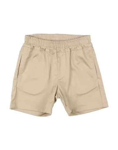 Msgm Babies'  Toddler Boy Shorts & Bermuda Shorts Sand Size 6 Cotton, Elastane In Beige