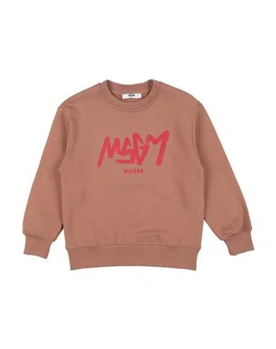 Msgm Babies'  Toddler Boy Sweatshirt Brown Size 6 Cotton