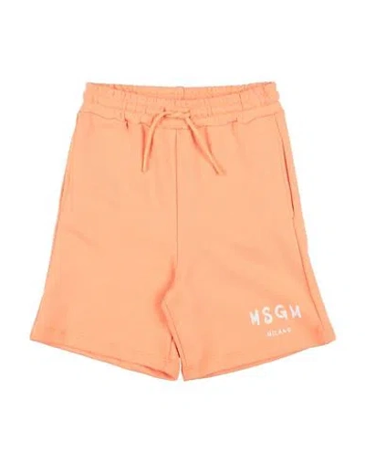Msgm Babies'  Toddler Shorts & Bermuda Shorts Apricot Size 6 Cotton In Orange