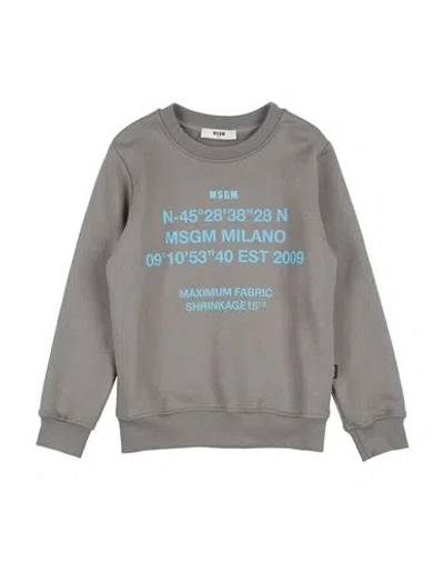 Msgm Babies'  Toddler Sweatshirt Lead Size 6 Cotton In Grey