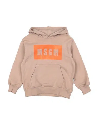 Msgm Babies'  Toddler Sweatshirt Light Brown Size 6 Cotton