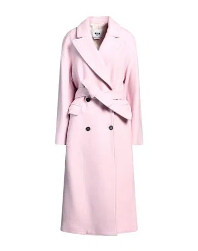 Msgm Woman Coat Light Pink Size 6 Virgin Wool, Polyamide In Purple