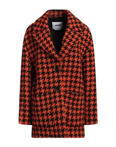 Msgm Woman Coat Orange Size 6 Virgin Wool, Polyamide