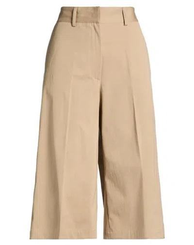 Msgm Woman Pants Beige Size 6 Cotton, Elastane In Brown