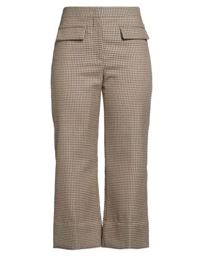Msgm Woman Pants Camel Size 10 Wool