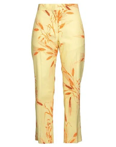 Msgm Woman Pants Pastel Yellow Size 8 Cotton, Elastane
