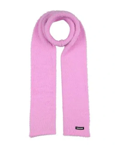 Msgm Woman Scarf Pink Size - Polyamide, Wool, Acrylic