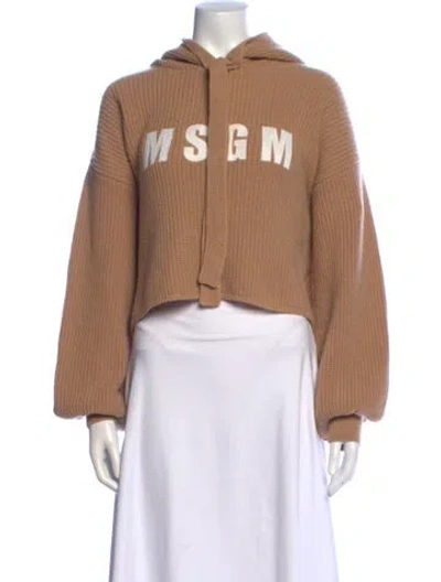Pre-owned Msgm Wool Graphic Print Sweater In Neutral