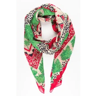 Msh Desert Camel And Palm Tree Print Bordered Cotton Scarf In Green