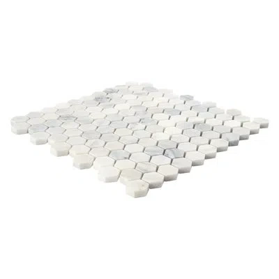 Msi Arabsecato Carrara 1" Hexagon 12 In. X 12 In. Honed Marble Mosaic Floor And Wall Tile