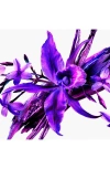 Mugler Alien Extraintense Eau De Parfum In Refill