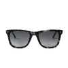 Mulberry Alex Sunglasses In Black