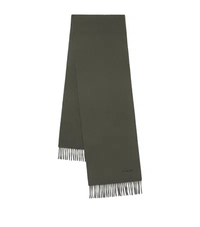Mulberry Cashmere Fringed Scarf In Green
