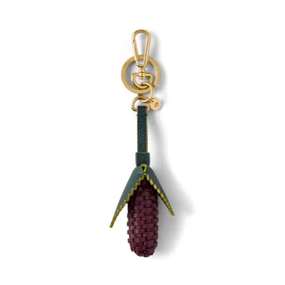 Mulberry Fruit In Green