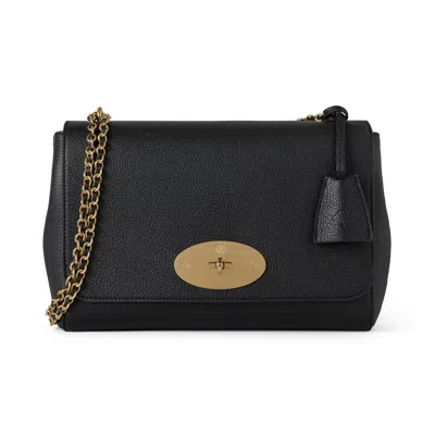 Mulberry Medium Lily