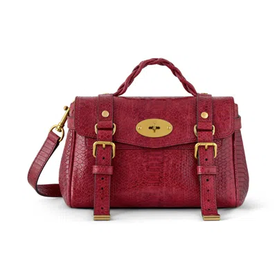 Mulberry Mini Alexa