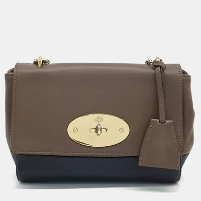 Pre-owned Mulberry Multicolor Leather Lily Bag
