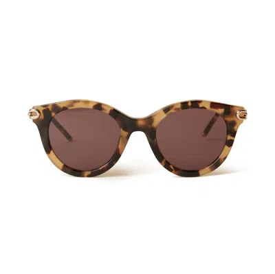Mulberry Penny Acetate Sunglasses In Brown