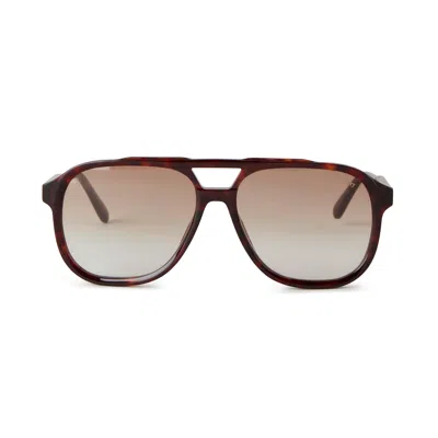 Mulberry Raffy Sunglasses Tortoiseshell In Brown