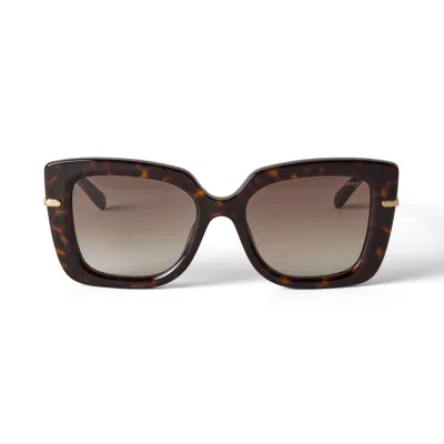 Mulberry Women's Amberley Square Sunglasses - Tortoiseshell In Brown
