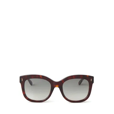 Mulberry Women's Charlotte Sunglasses - Tortoiseshell In Gray