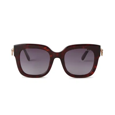 Mulberry Women's Iris Sunglasses - Tortoiseshell In Brown