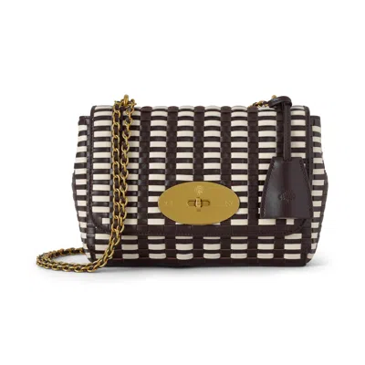 Mulberry Lily In Brown