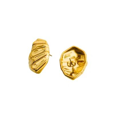 Mulgaro Women's Gold Thalassa Shell Earrings