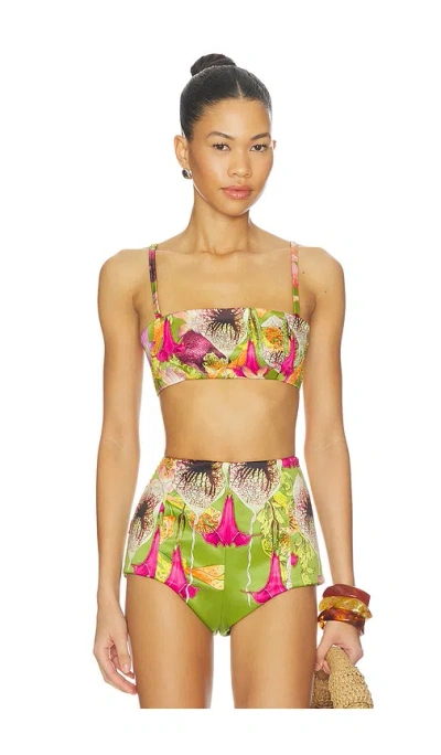 Muma World Beaded Floral Canopy Crop Top In Multi