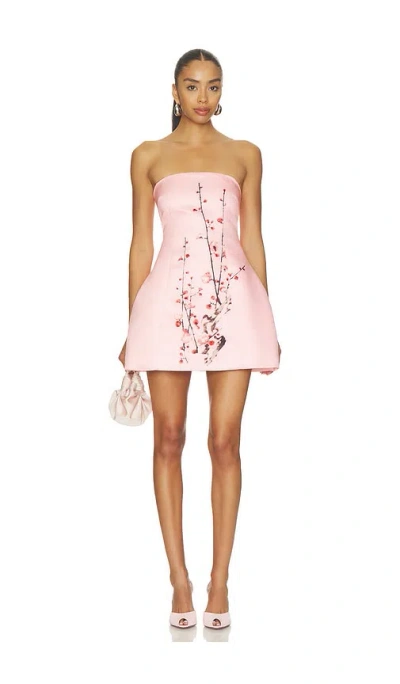 Muma World Hana Mini Dress In Pink