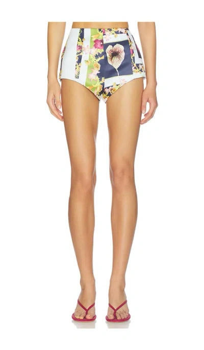 Muma World Understory Hot Shorts In Multi