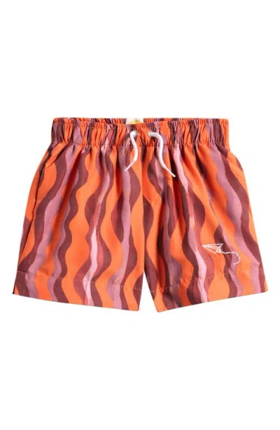 Mumzers Babies'  Kids' Swim Trunks In Multi