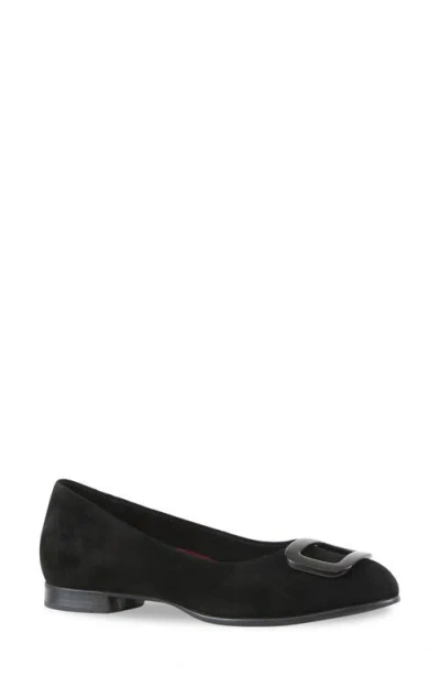 Munro Gianna Buckle Flat In Black Suede