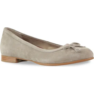 MUNRO MUNRO JOSLYNN BALLET FLAT