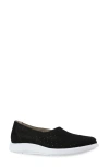 Munro Ridley Perforated Sneaker In Black Nubuck