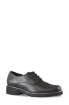 Munro Ronnie Water Resistant Lizard Embossed Derby