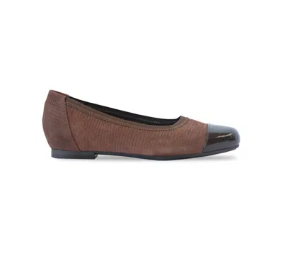 Munro Women's Danielle Ii Flats In Brown Lizard