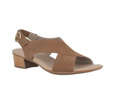 Munro Women's Jenny Sandal In Medium Tan In Multi