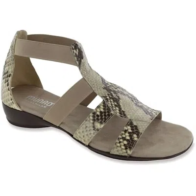 Munro Women's Zena Gladiator Sandal In Khaki In Gray