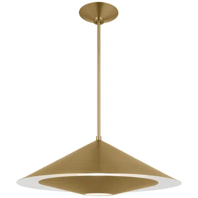 Murray Feiss Visual Comfort Studio Echo Medium Pendant A19 24" Burnished Brass