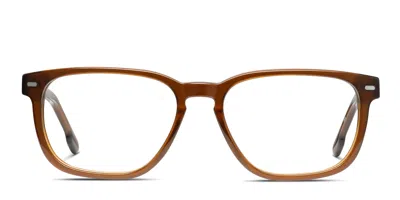 Muse Acute Brown