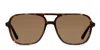 Muse Auster Tortoise In Tortoise