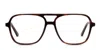 Muse Auster Tortoise In Tortoise