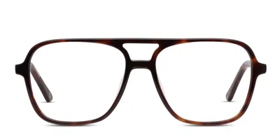 Muse Auster Tortoise