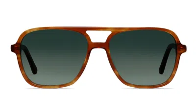 Muse Auster Tortoise,orange