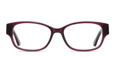 Muse Cali Purple
