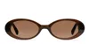 Muse Cold Brew Brown In Brown