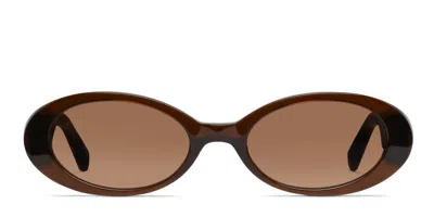 Muse Cold Brew Brown