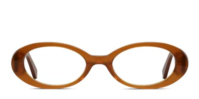 Muse Cold Brew Orange